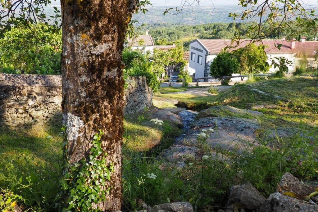 El Bosque De Los Romanos Puerto de Béjar Exterior foto