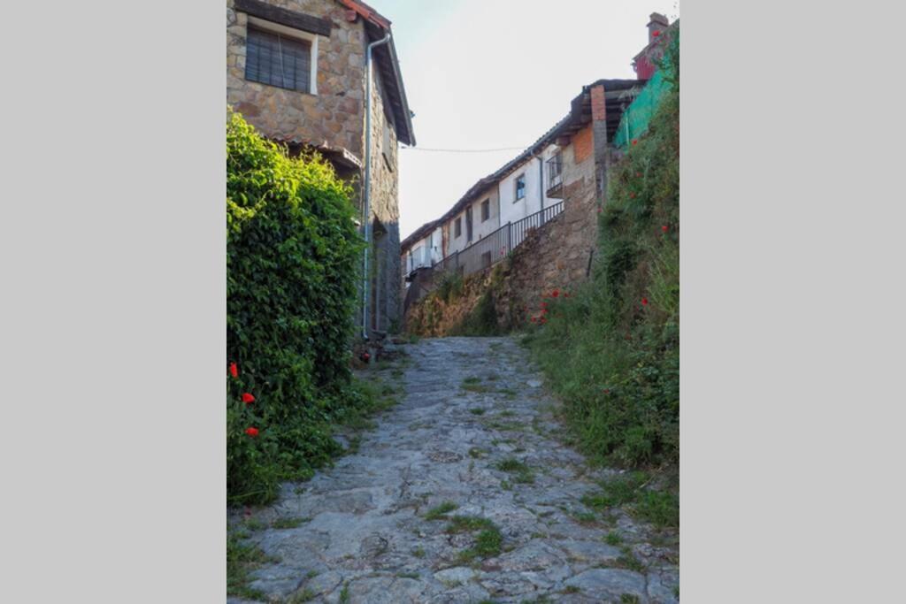 El Bosque De Los Romanos Puerto de Béjar Exterior foto