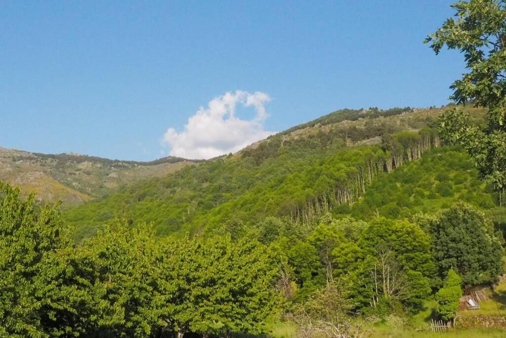 El Bosque De Los Romanos Puerto de Béjar Exterior foto
