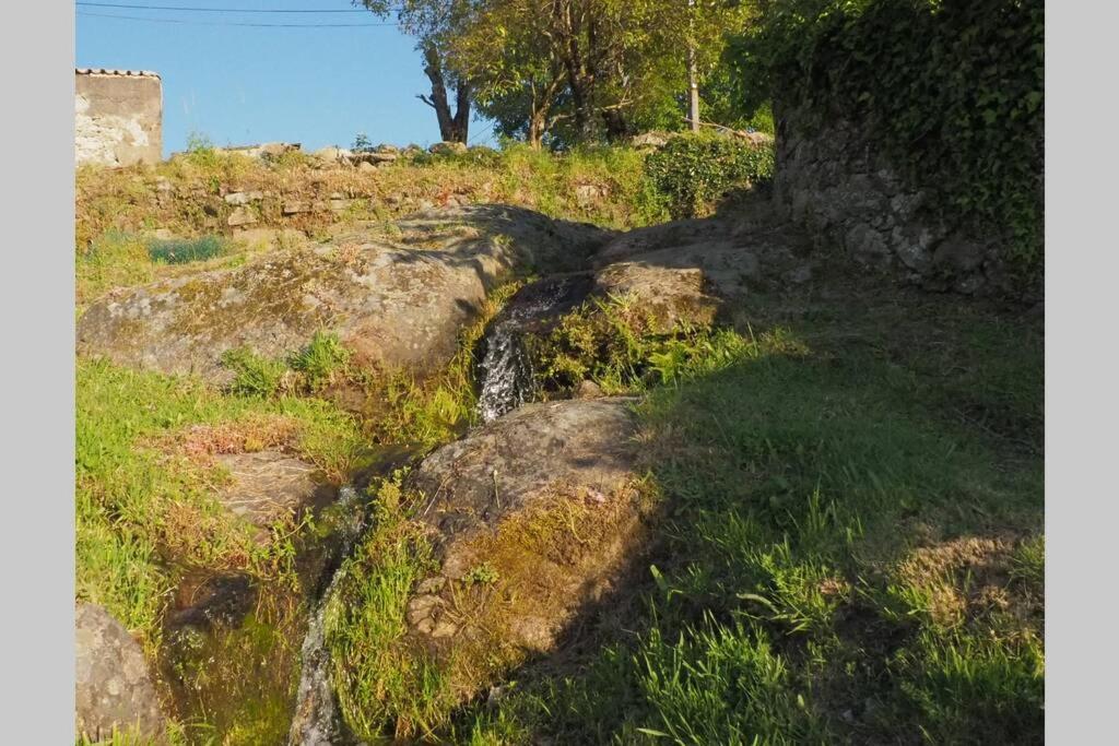 El Bosque De Los Romanos Puerto de Béjar Exterior foto